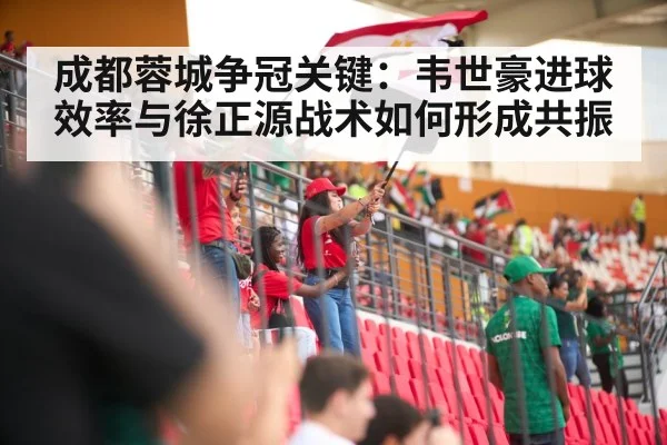 soccer stadium fans
